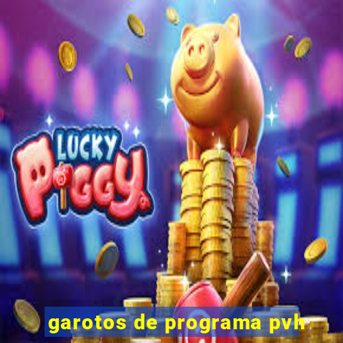 garotos de programa pvh